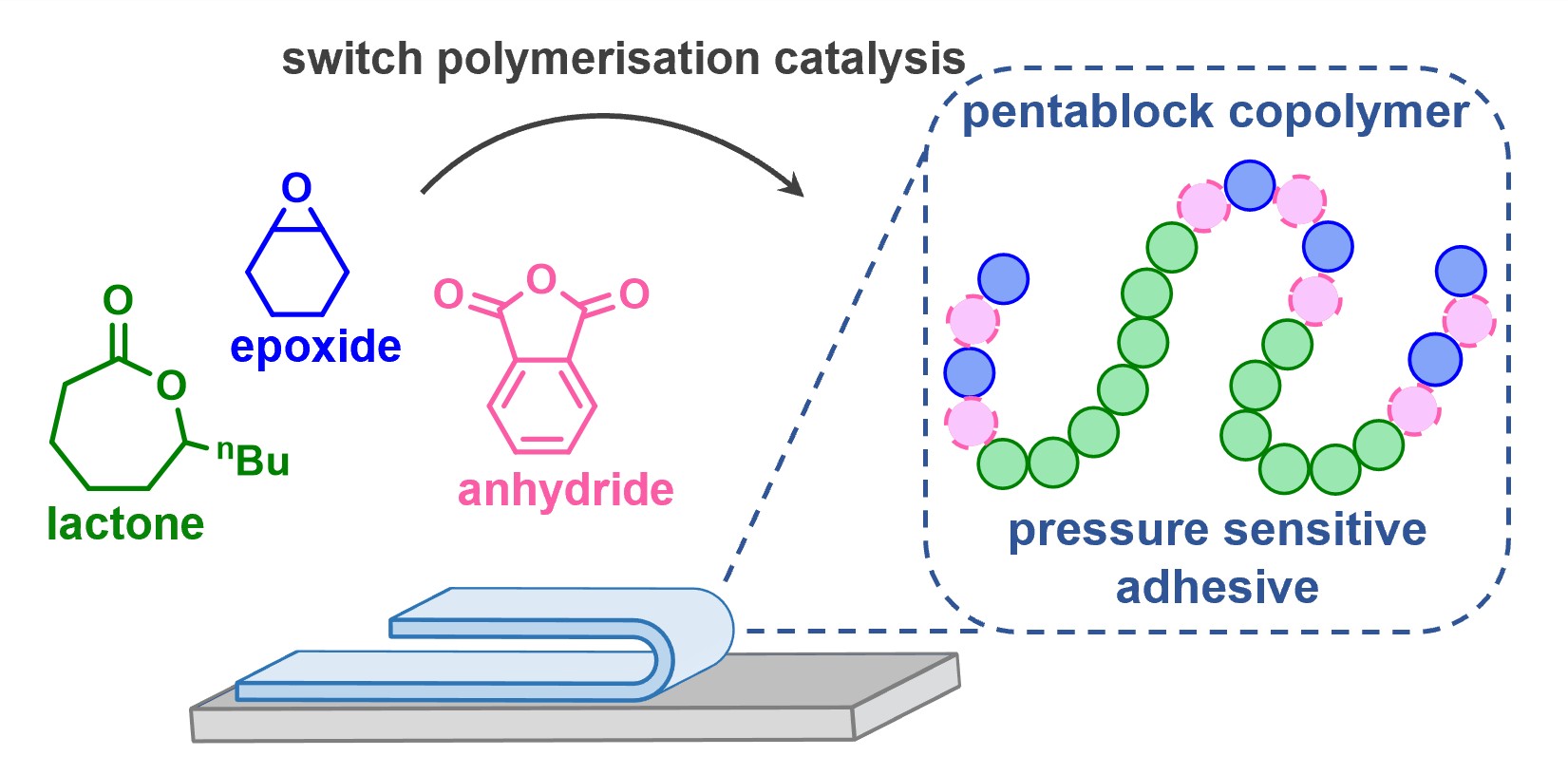 cg polym chem