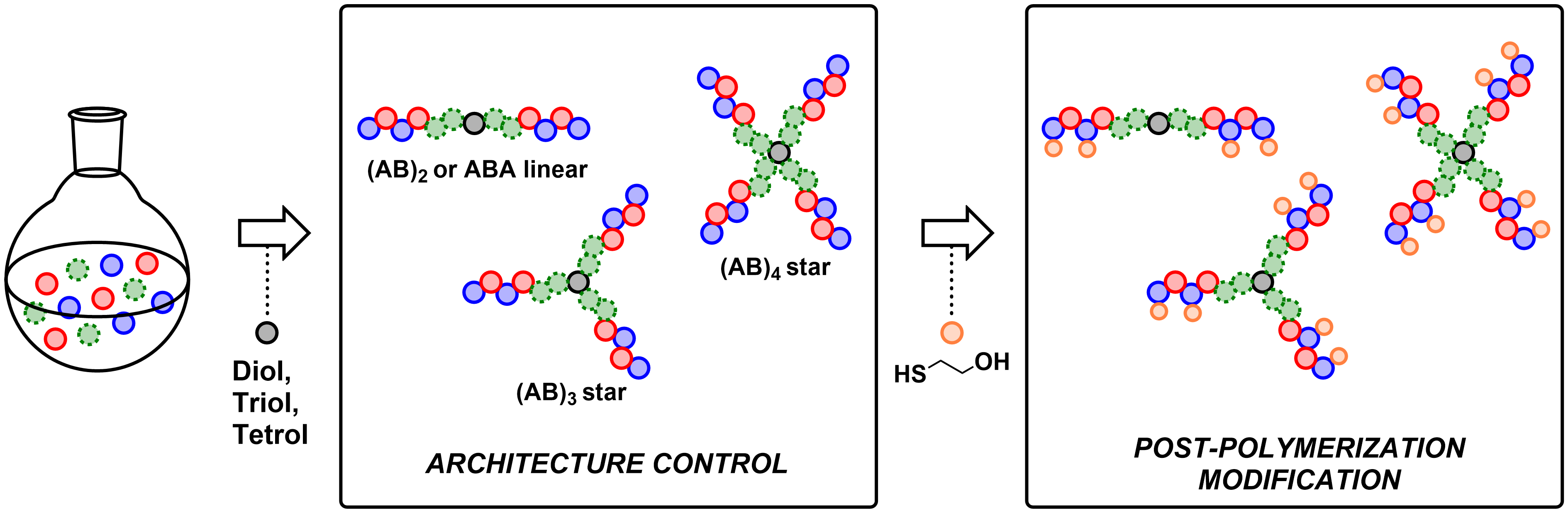 sulley macromolecules 2025 toc hi res
