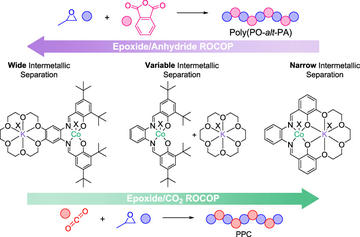 A graphical abstract showing chemical structures of various catalysts used in the work