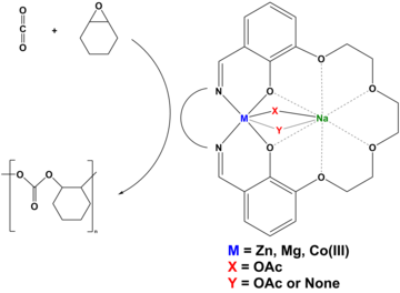 graphical abstract wouter paper