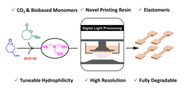 A graphical abstract showing the various monomers used and a cartoon depiction of the process to make elastomers by digital light processing