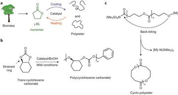 naturechemistry 2016 8 3 4 impossible ring